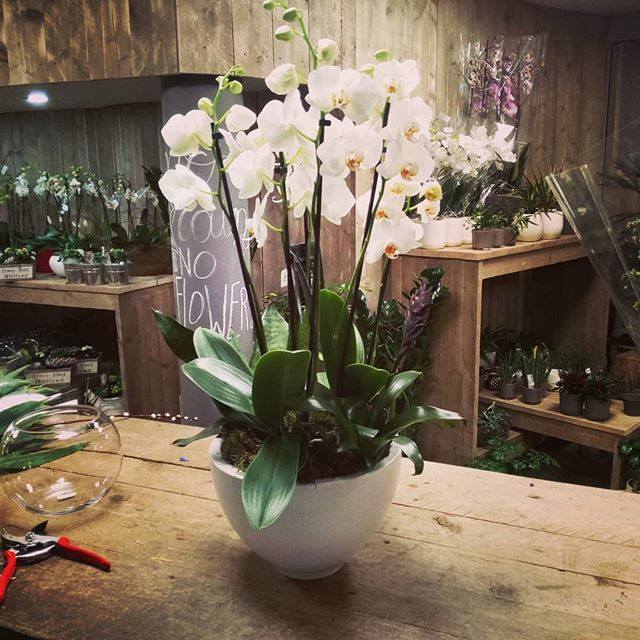 bloemenzaak in Gent