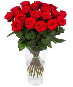 Rozen