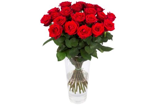 Rozen